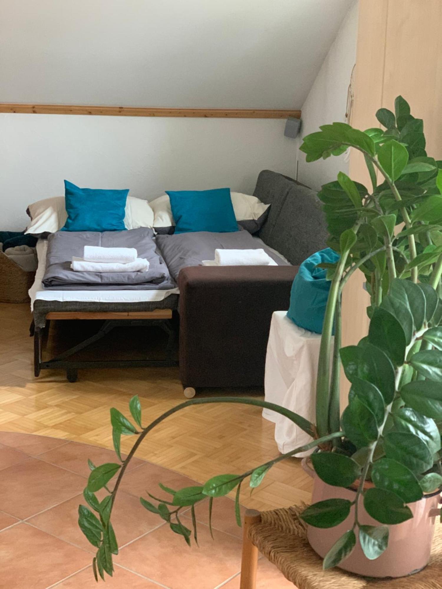 Appartement Kammblick 格洛博明 外观 照片